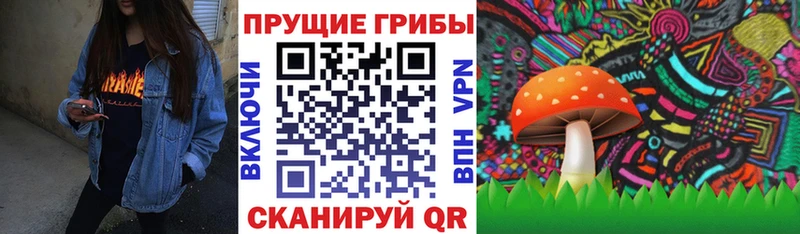 Галлюциногенные грибы прущие грибы  где купить наркоту  ссылка на мегу рабочий сайт  Нестеровская 